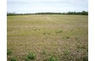Property photo 10 - 160 Acres in 4 Tracts - Building Potential and Cropland